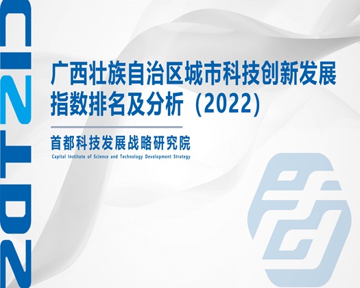 男女操鸡吧【成果发布】广西壮族自治区城市科技创新发展指数排名及分析（2022）